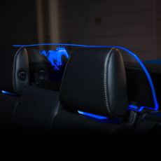 Wind deflector Mustang 05-14